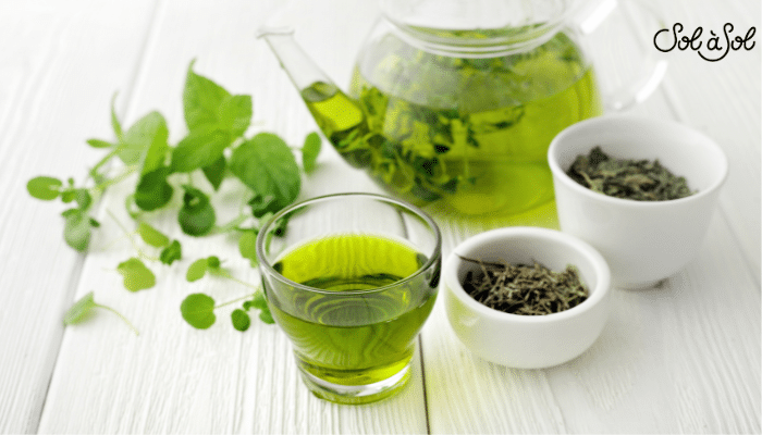 Combien de tasses de thé par jour : Guide Santé et Bien-être