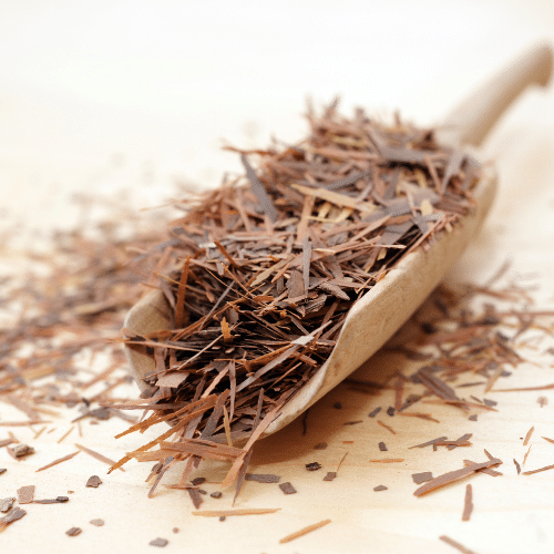 Lapacho pour infusion Sol à Sol