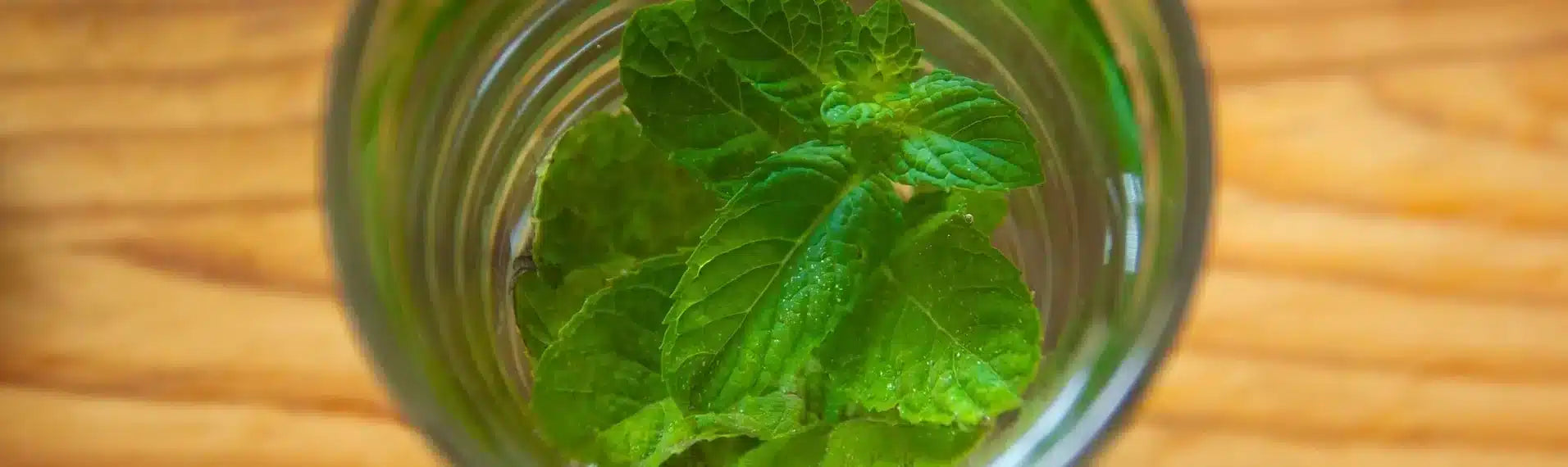 mate menthe en infusion bio Sol à Sol