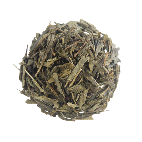 Sencha