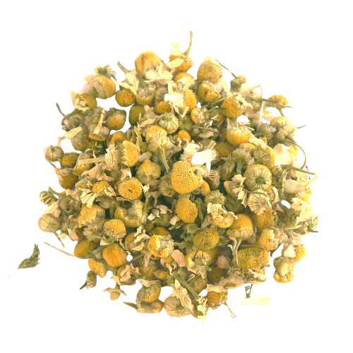 Camomille matricaire