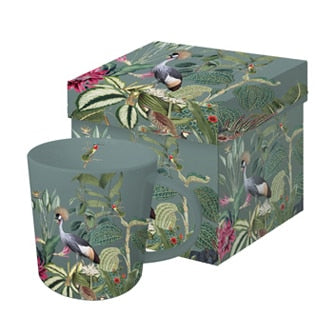 Coffret décor amazonie Sol à Sol