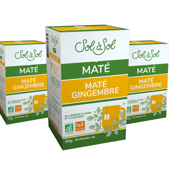 Lot infusettes maté gingembre Sol à Sol
